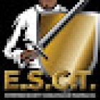 Enterprise Security Consulting and Training Inc.