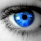 CIA Colorado Investigative Agency