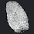 Professional Investigations