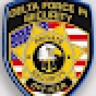 Delta Force P.I.