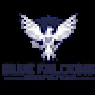 Blue Falcons Investigation