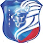 LION INTELLIGENCE & SECURITY SERVICES, INC