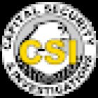 Capital Security & Investigations LLC