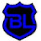 Blue Line Security