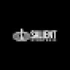 Salient Strategic LLC