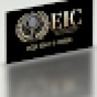 Executive Investigation and Consulting, LLC