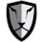 Virtus Group Investigations
