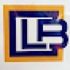 L B Security & Investigations