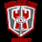 Advance Pro Security