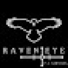 Raven Eye Private Investigation