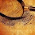 Professional Investigative Consultants