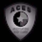 ACES Private Investigations Tampa
