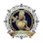 Immaculate Investigations LLC