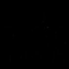 Elusive Investigations Inc.