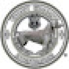 Grey Ghost - Private Investigator Doral