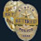 Copper Investigations & Consulting