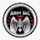 ARM Security, Investigations & Consulting Firm, Inc
