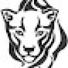 Panther Investigations LLC
