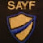 S A Y F Consulting