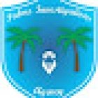 Palms Investigations Agency