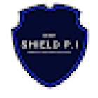 Shield Private Investigations