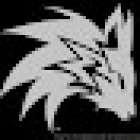 GrayFox Investigations
