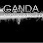 GANDA INVESTIGATIONS