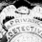 True North Investigative Services LLC