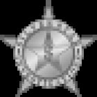 Silver Star Investigations LLC