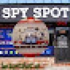 Spy Spot Investigations