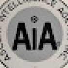 Ascent Intelligence Agency Inc.